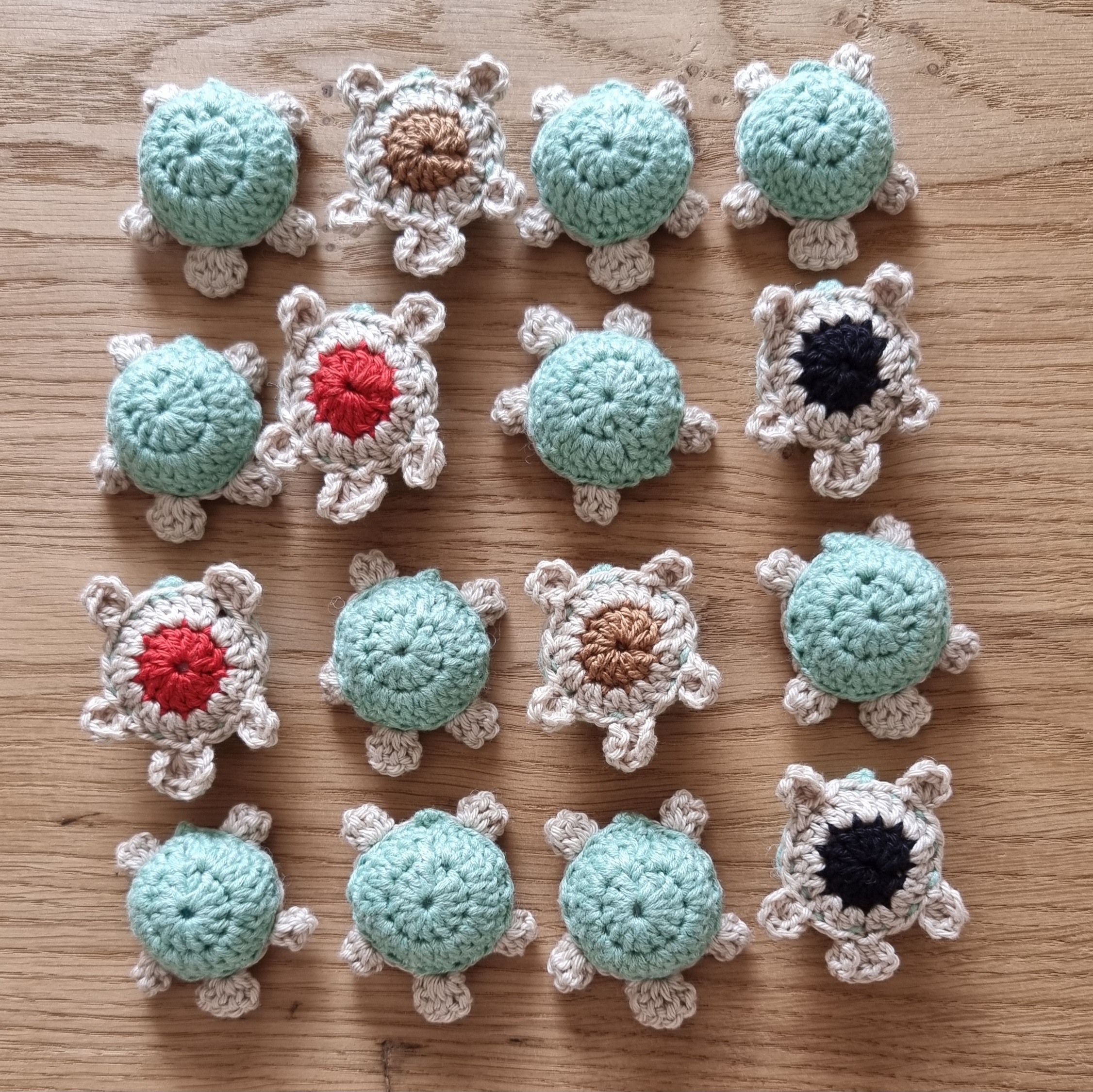 Tortue Memory – Image 4