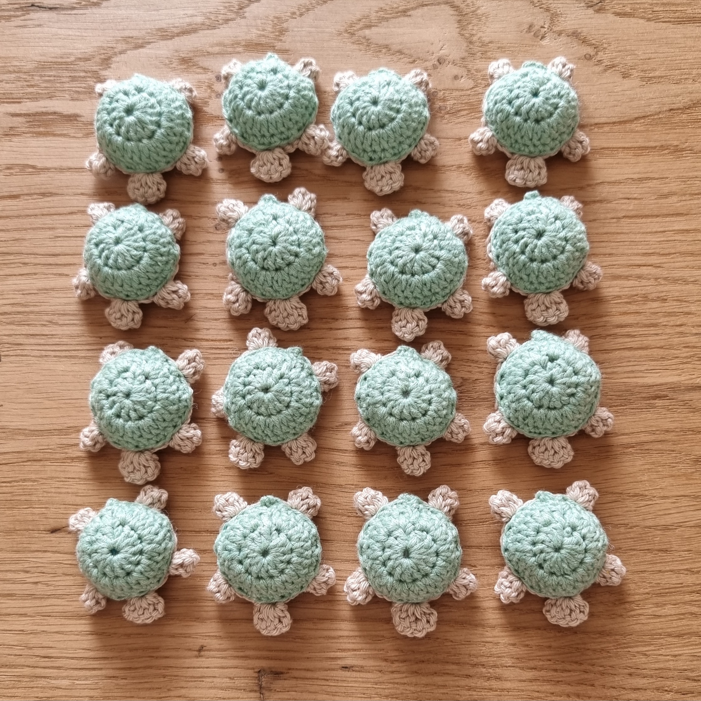 Tortue Memory – Image 2